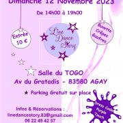 Affiche bal 12 11 2023