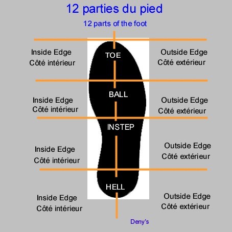 Cfgb7 parties pieds 1